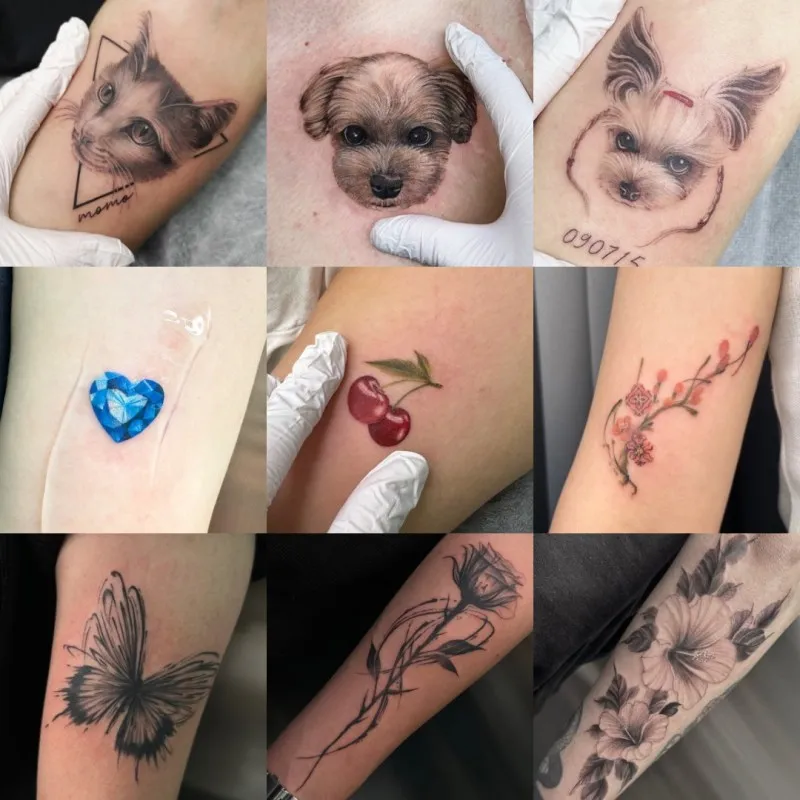 미니 모음💜💙