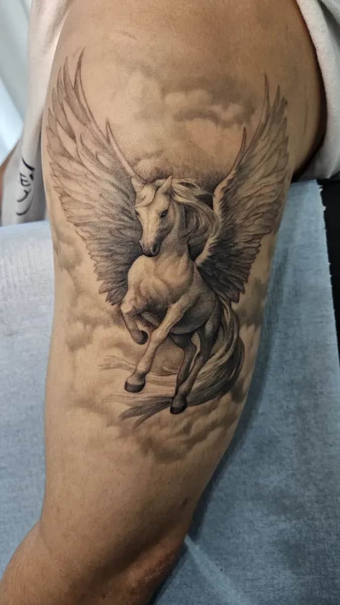 ํ๊ฐ์์ค ํํฌ