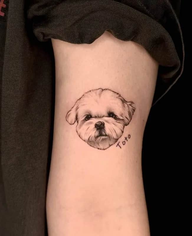 애견타투&레터링