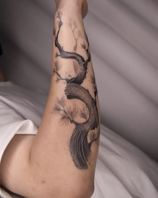 ์๋๋ฌด๋ถํฐ์น