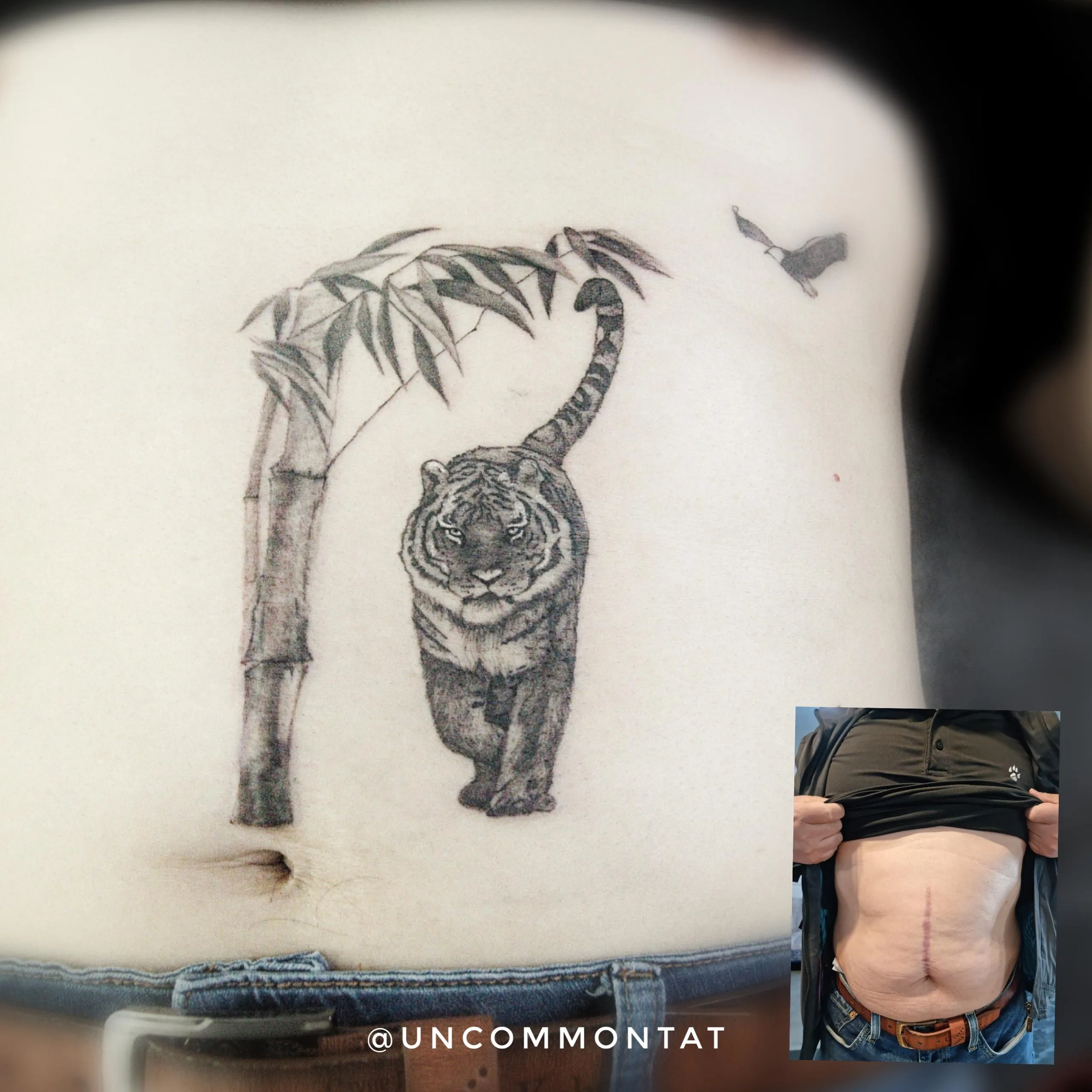 แดษดแดแดแดแดแดษด แดแดแด