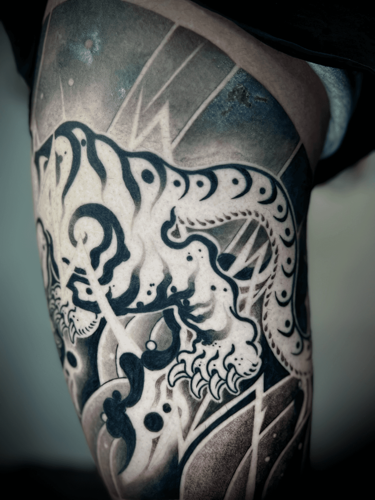 묘당, 호랑이 반바지 진행중