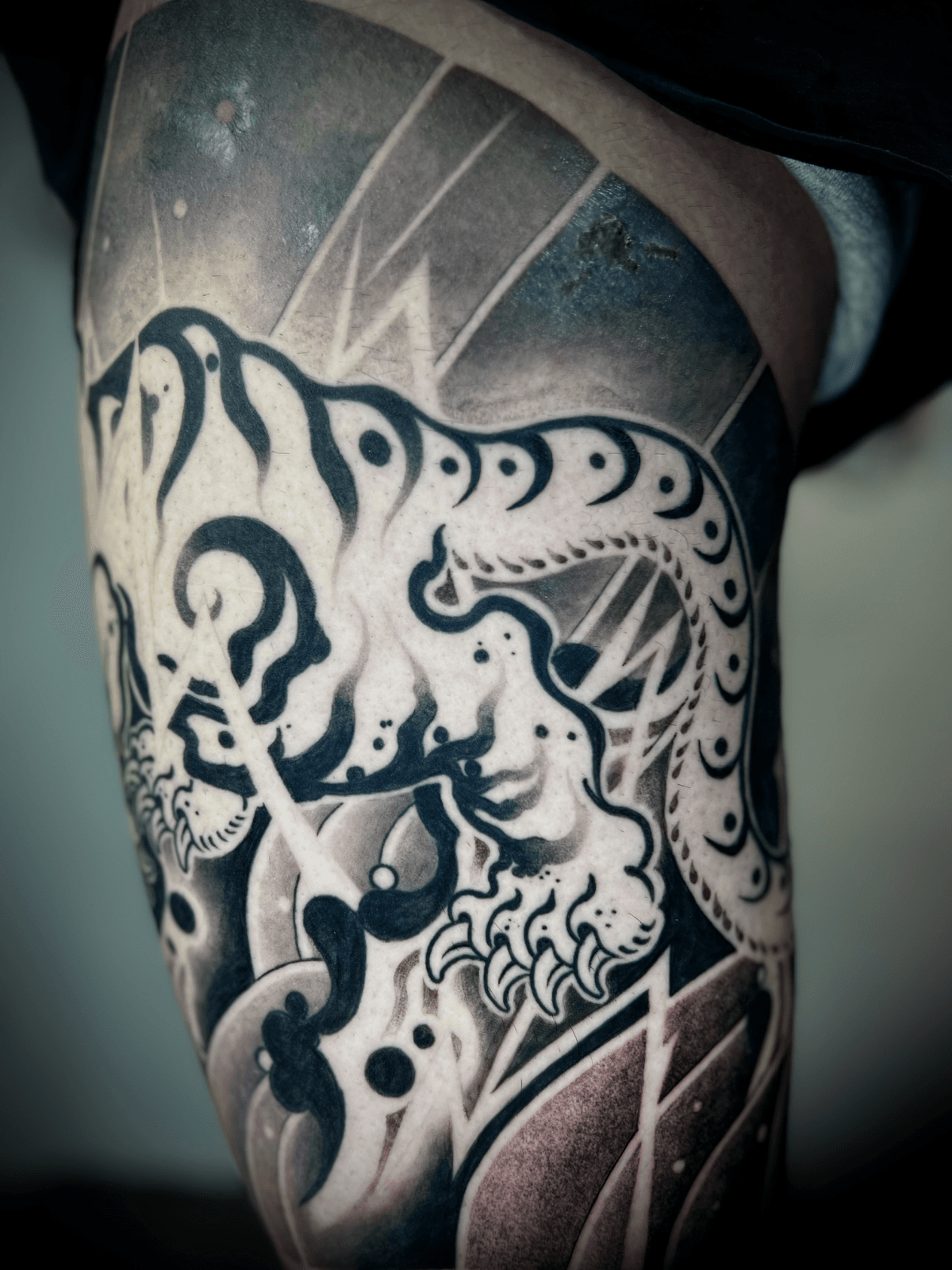 묘당, 호랑이 반바지 진행중