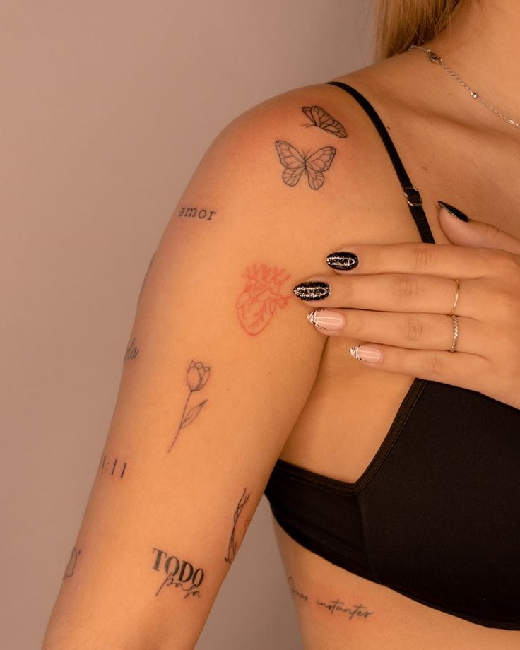 ๋ฐ์ผ๋ฆฌ๋ก ํ๊ธฐ ์ข์ ํํฌ