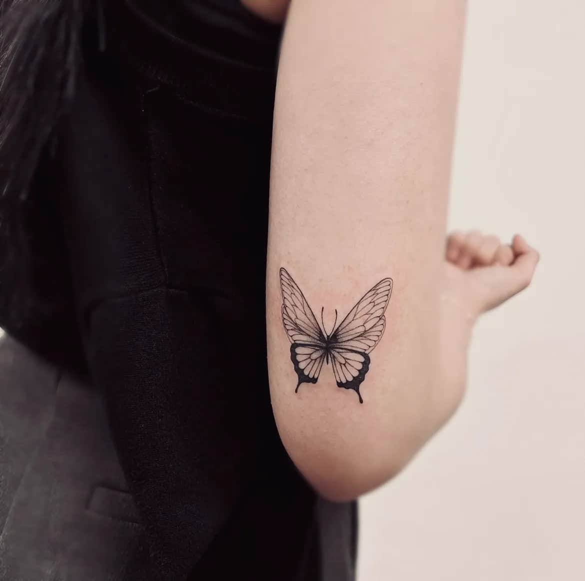 나비 한마리 🦋