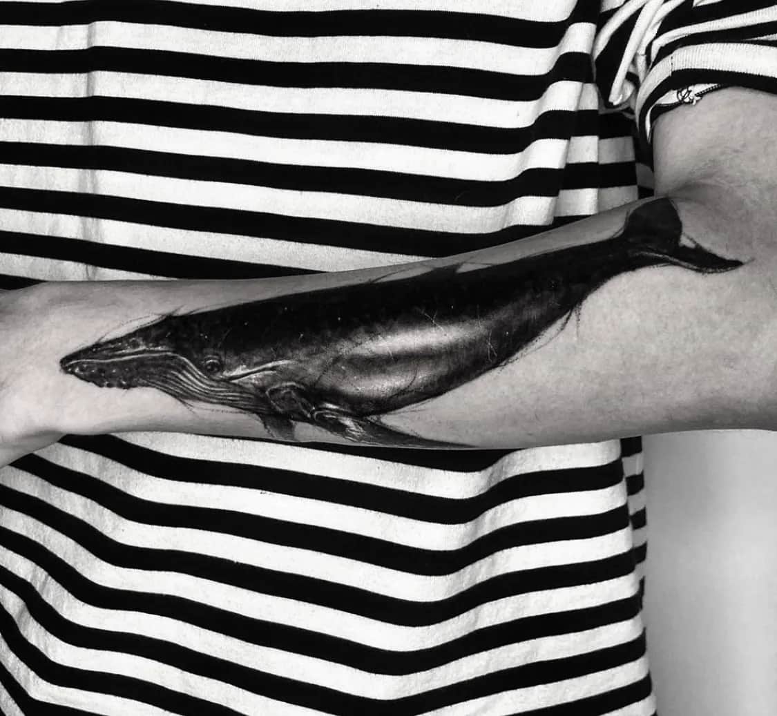 블랙앤그레이 고래