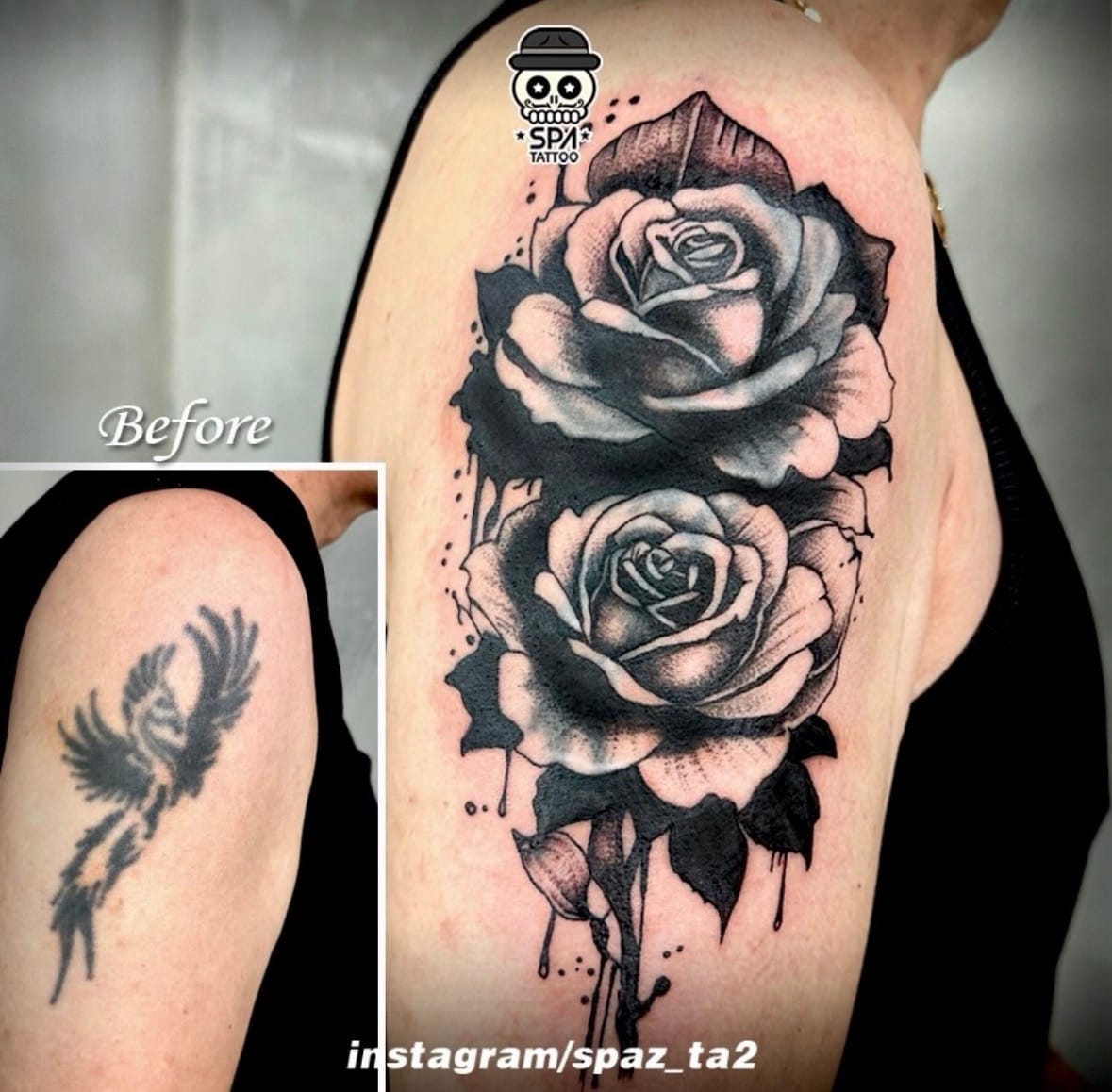 ์ปค๋ฒ์
๋ธ๋์ํฌ ์ฅ๋ฏธ ํํฌ