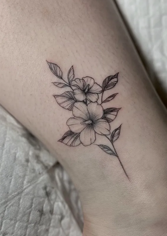 ๋ฐ๋ชฉ ๋ฌด๊ถํ ๊ฝ ํํฌ