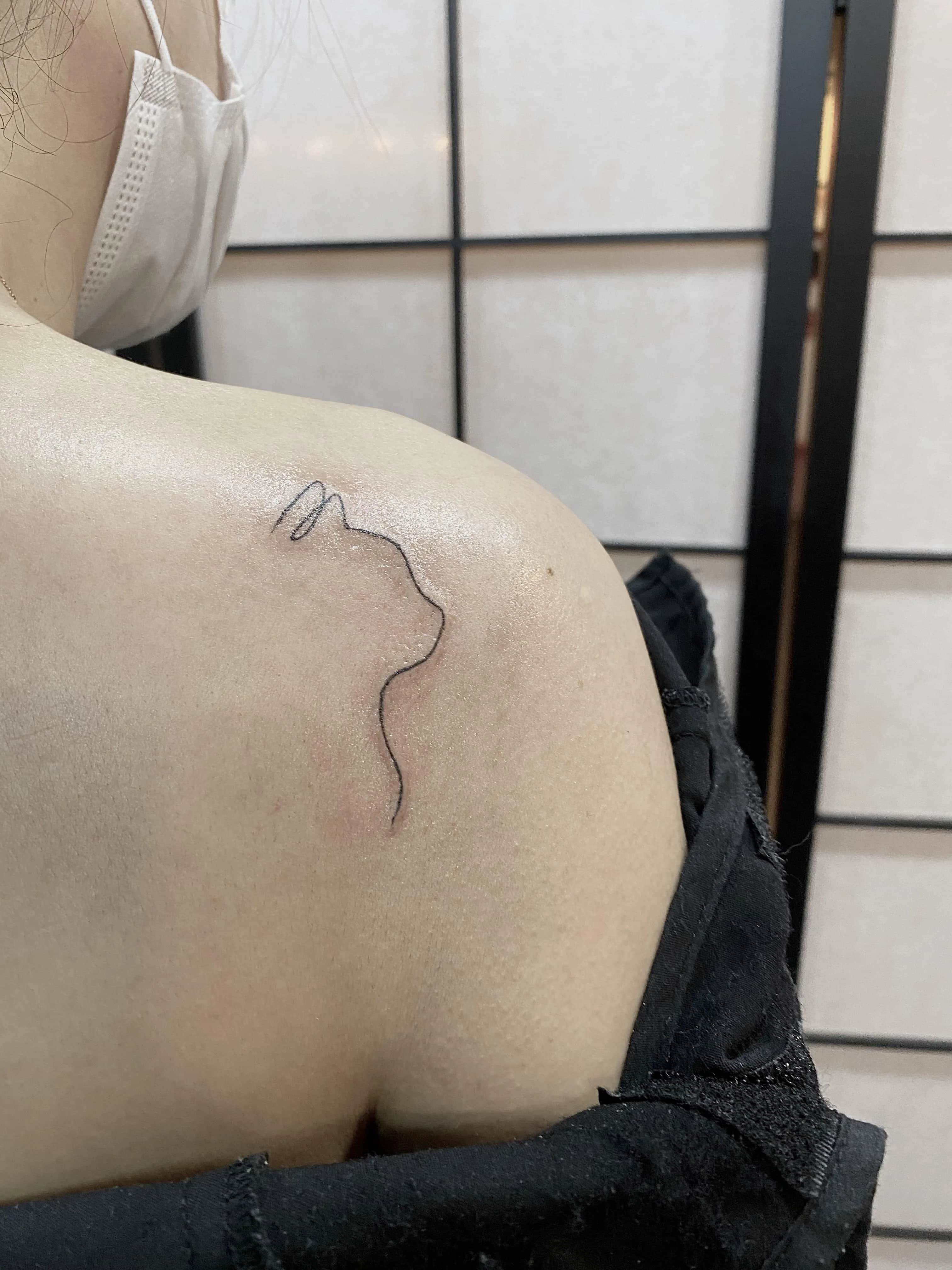 고양이 라인워크