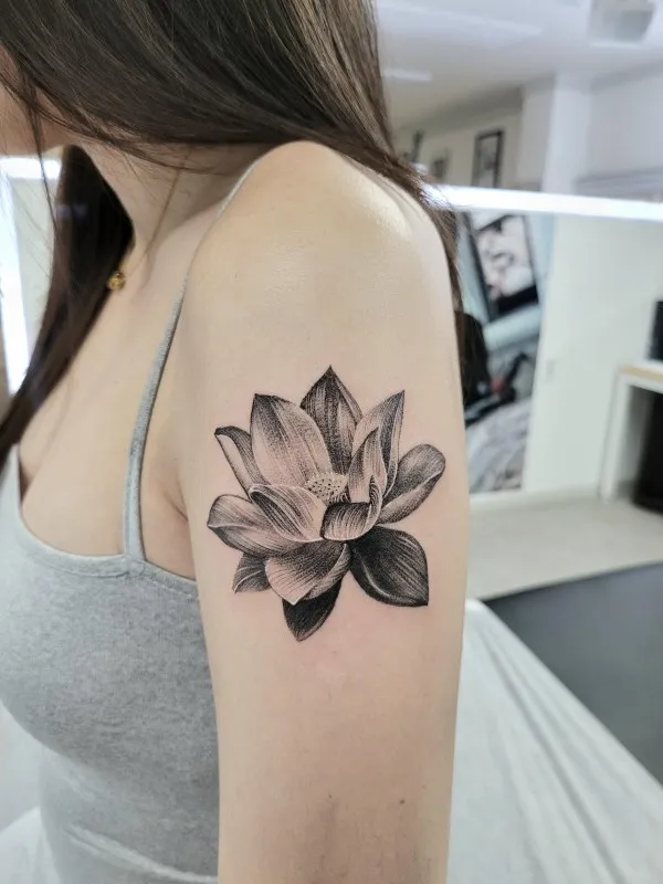 연꽃