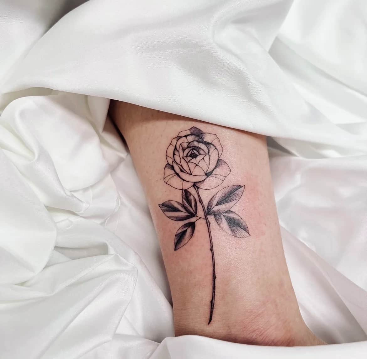 장미 한송이 🌹