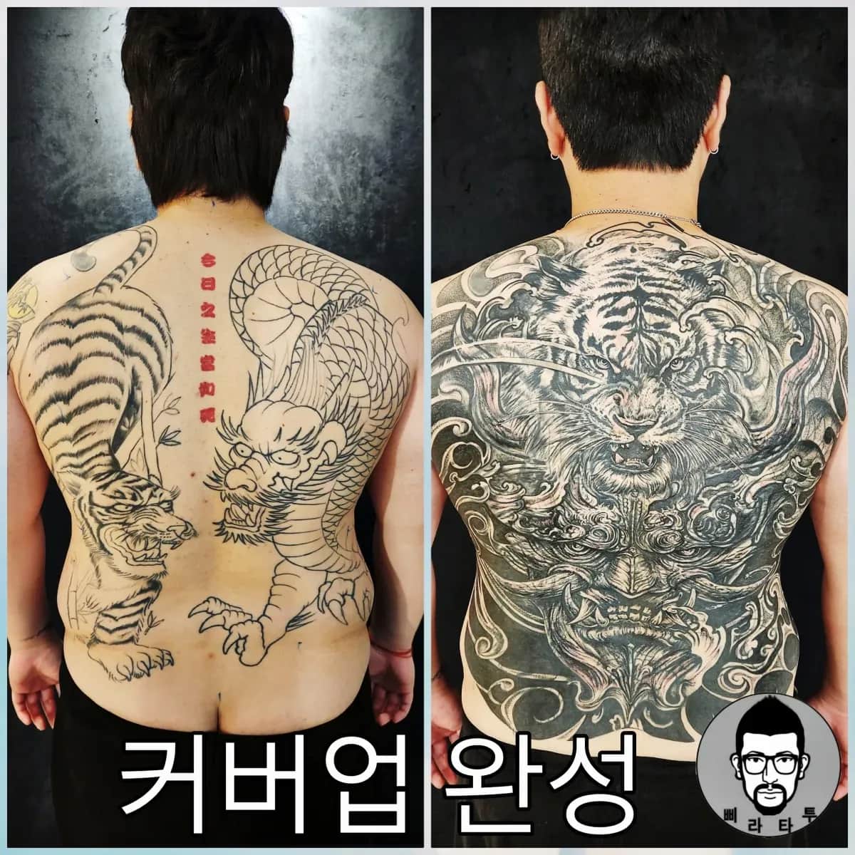 호랑이, 한야(커버업)