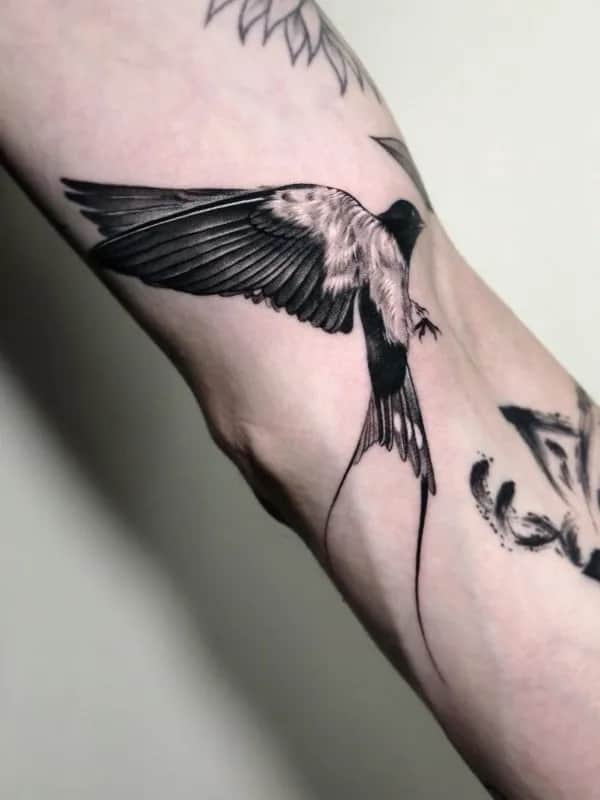 ์ ๋น ํํฌ