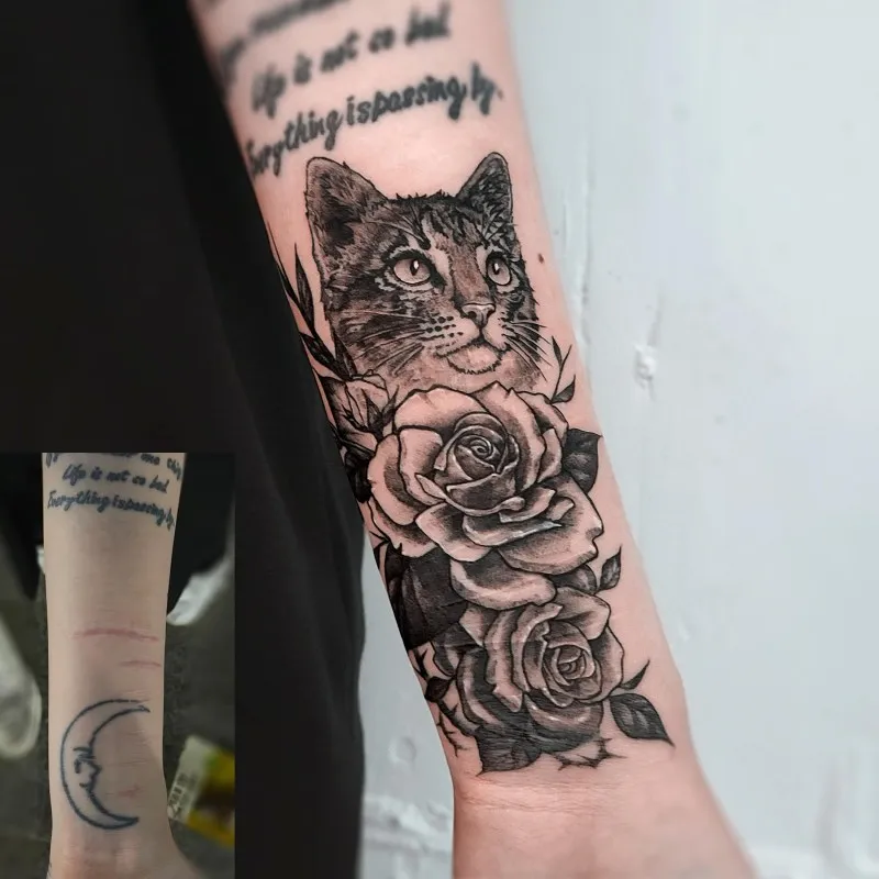 고양이 장미 커버업