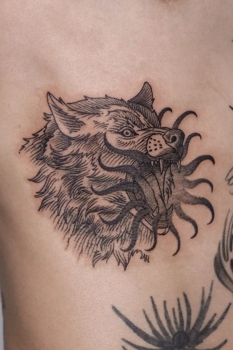 늑대(wolf)