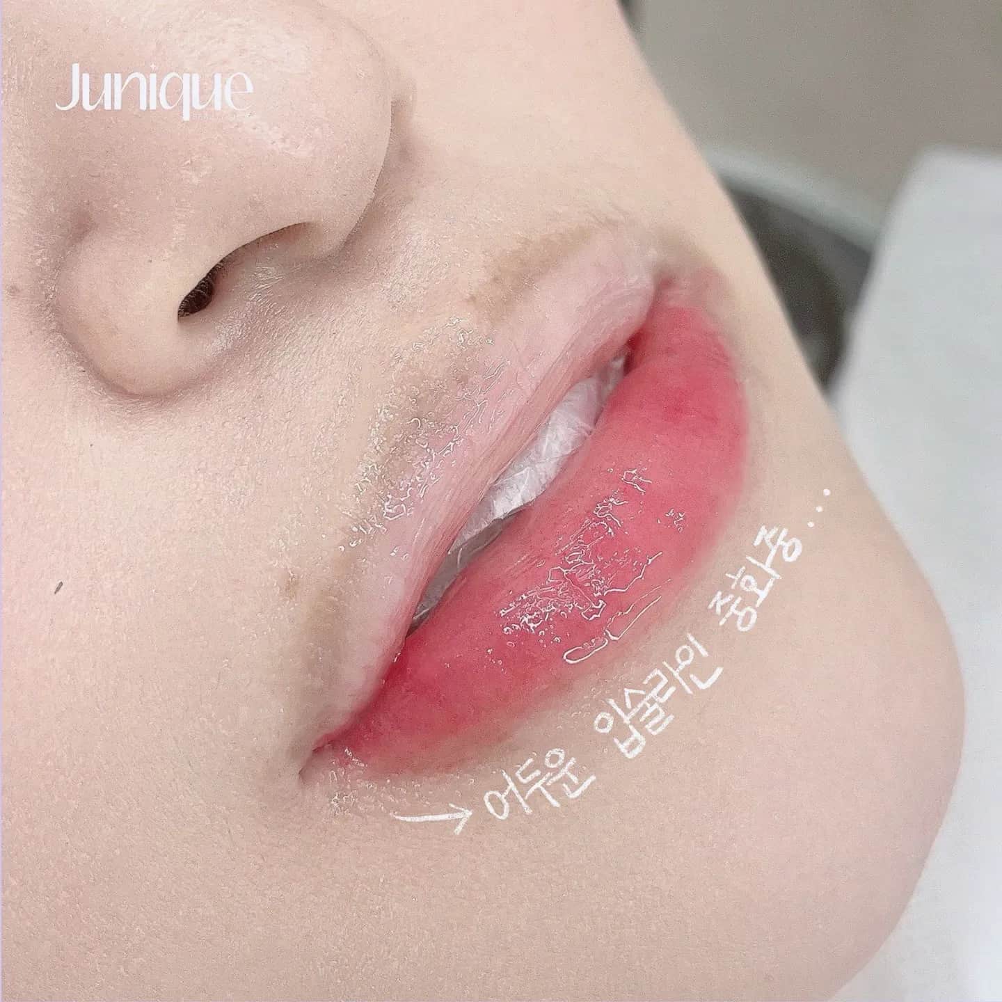 🎀입술 톤업 립타투🎀