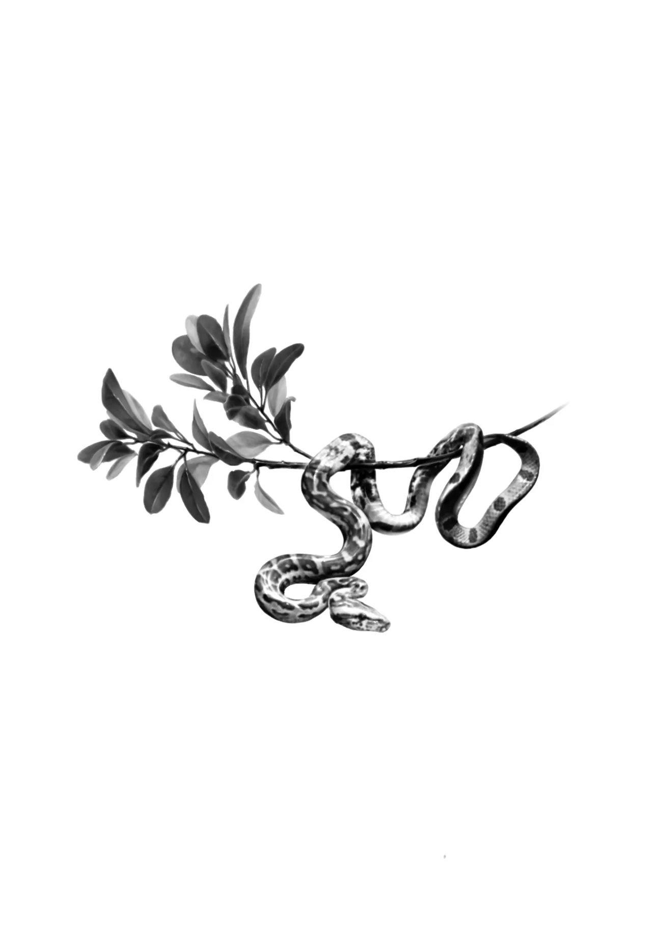 ๋ฑ,๋๋ญ๊ฐ์ง🌿 - 1