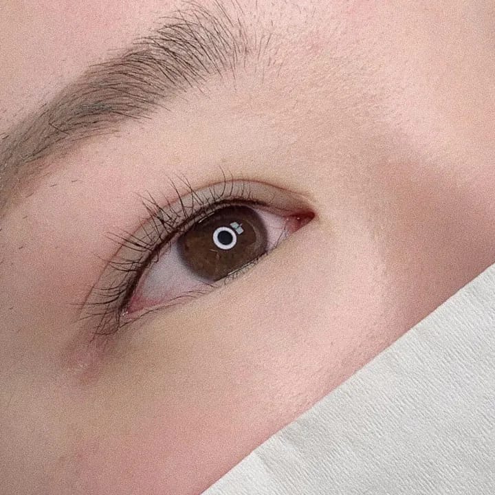 ์์ด๋ผ์ธ