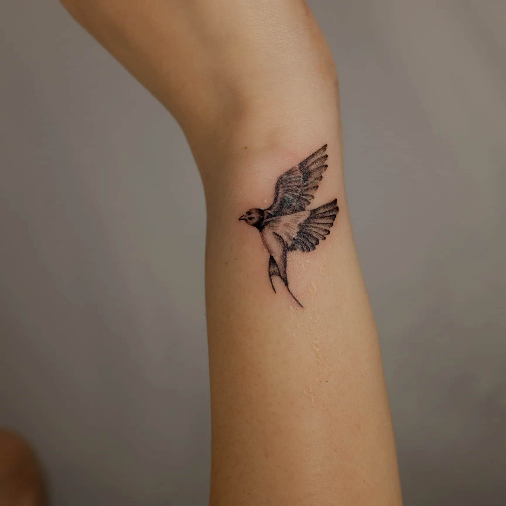 커버업 제비 nimm_tattoo