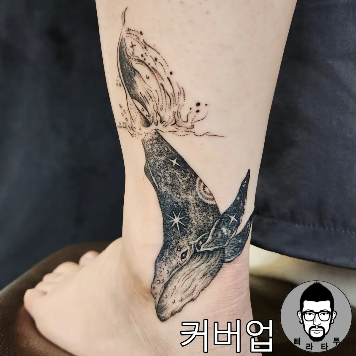 커버업 (고래)