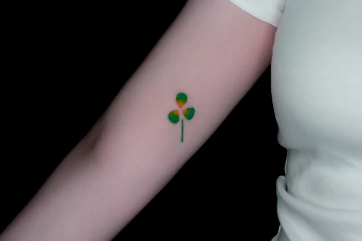 ์ธ์ํด๋ก๋ฒ