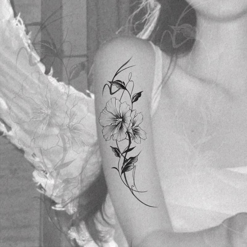 ๋ฌด๊ถํํํฌ ๋์