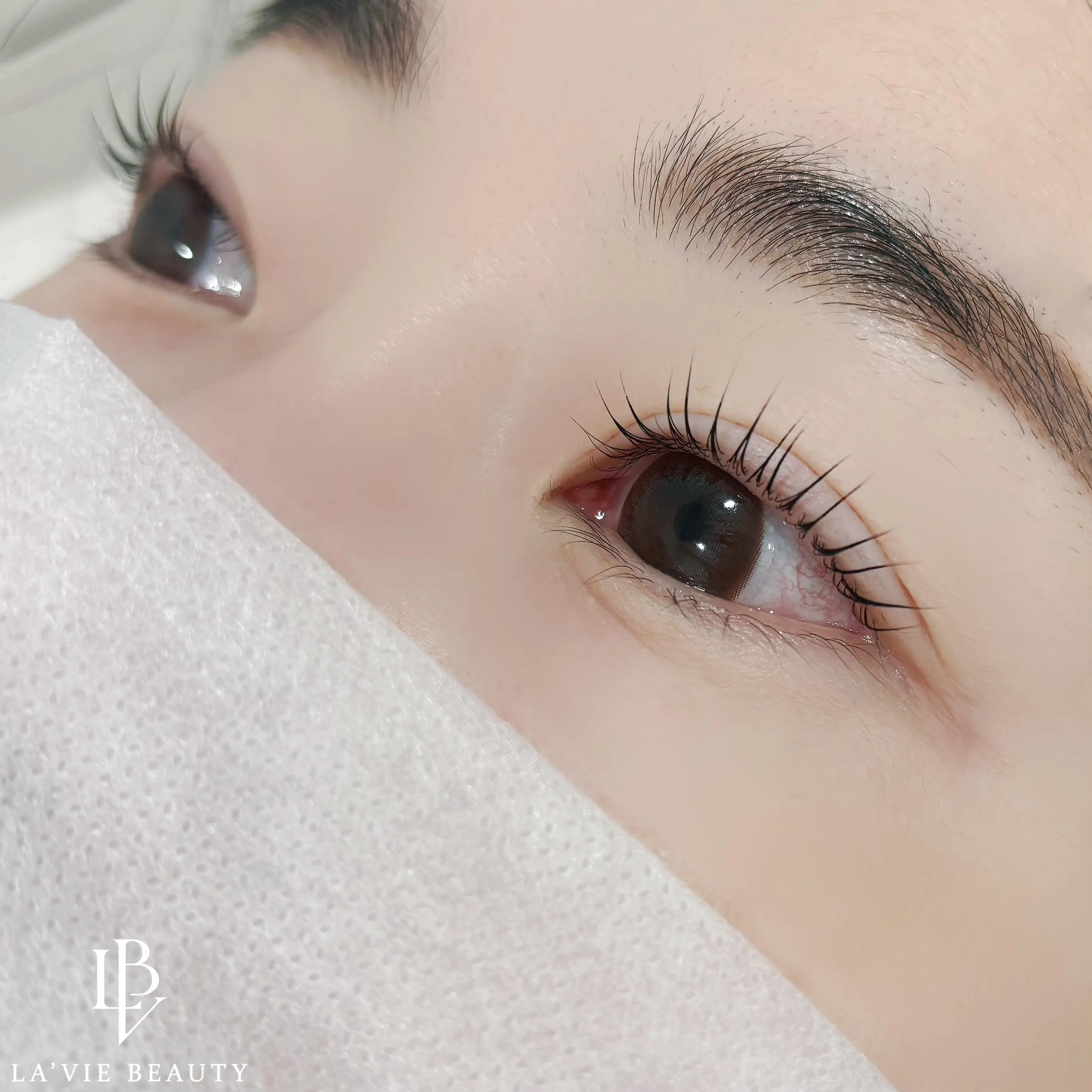 ์์ฐ์๋์นํ