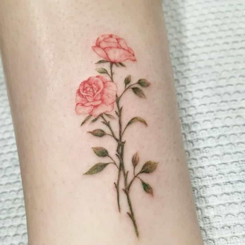 장미 컬러라인워크