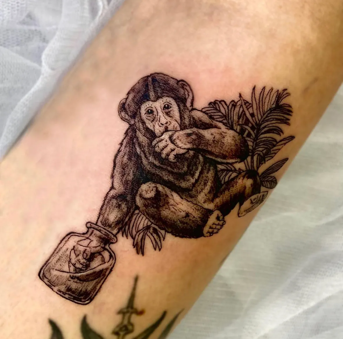 ์์ญ์ดํํฌ - 1