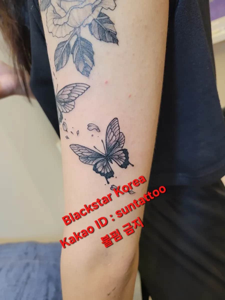 ํ ๋๋น์ ๊ฝ์ ํํฌ