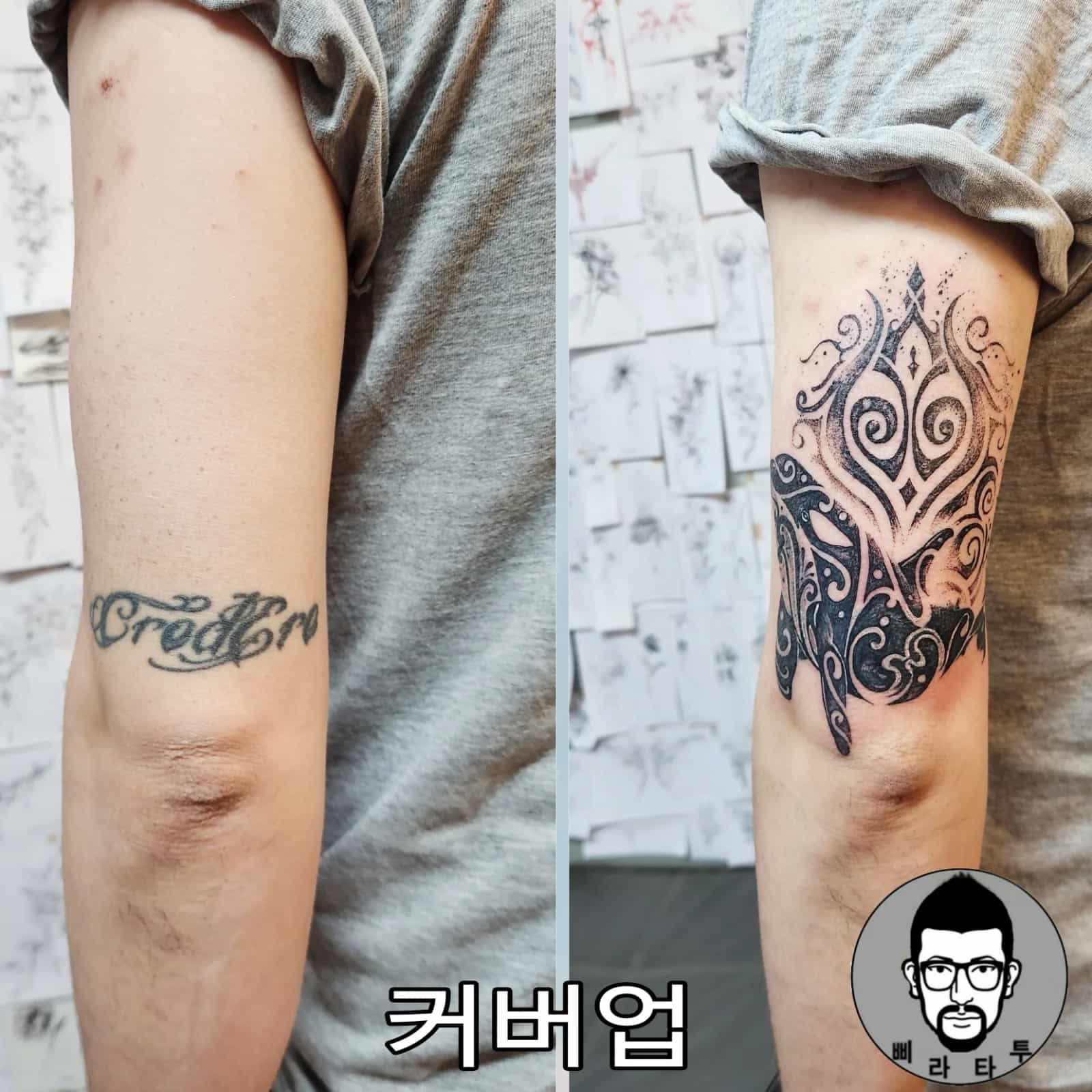 커버업(돌고래)