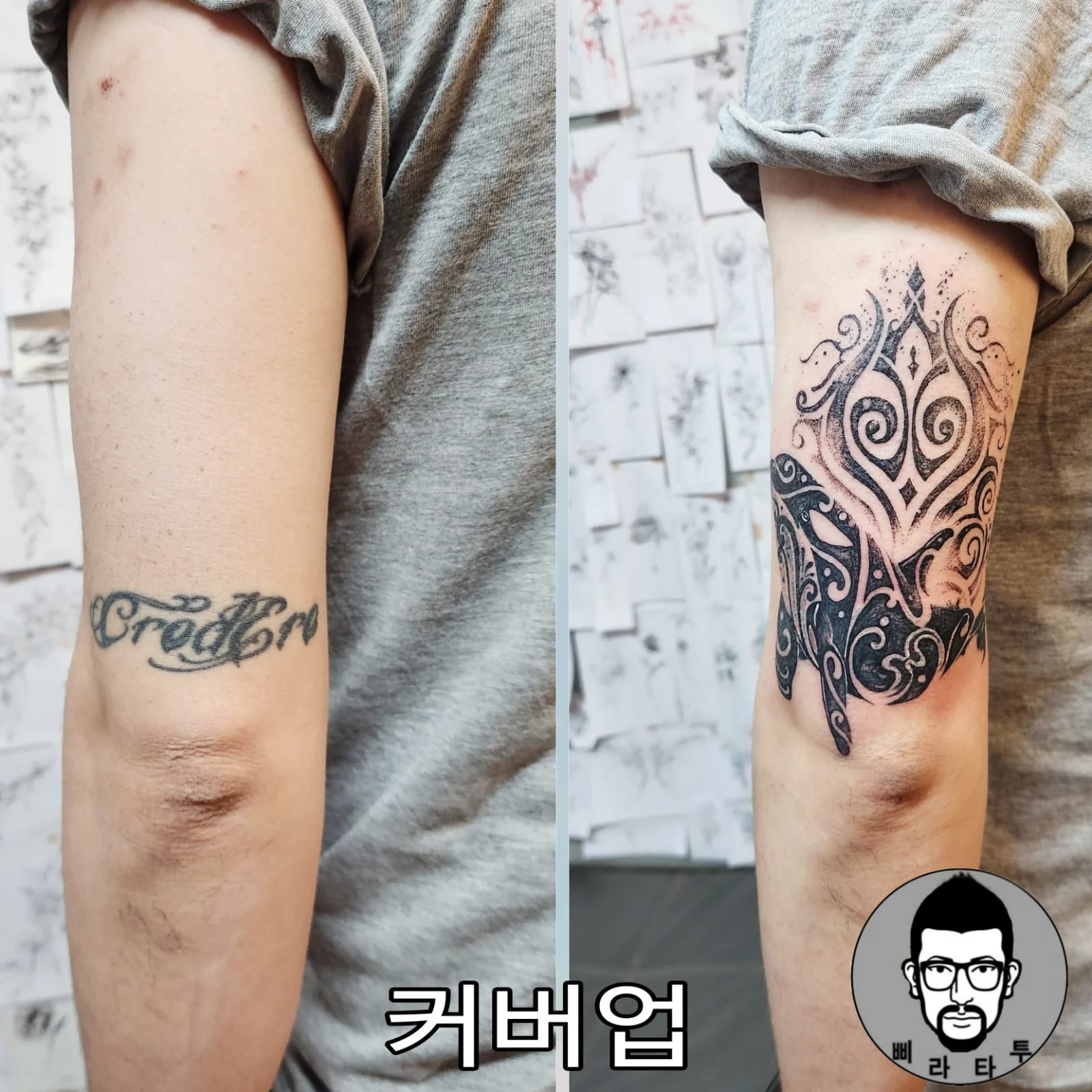 커버업(돌고래)