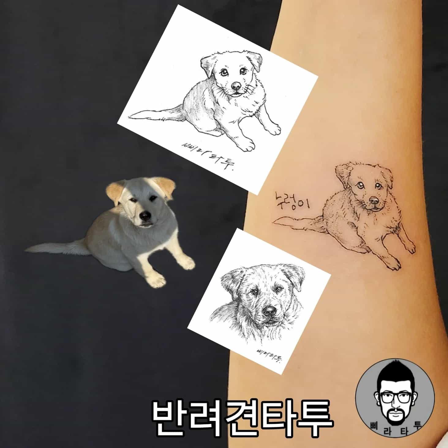 반려견타투