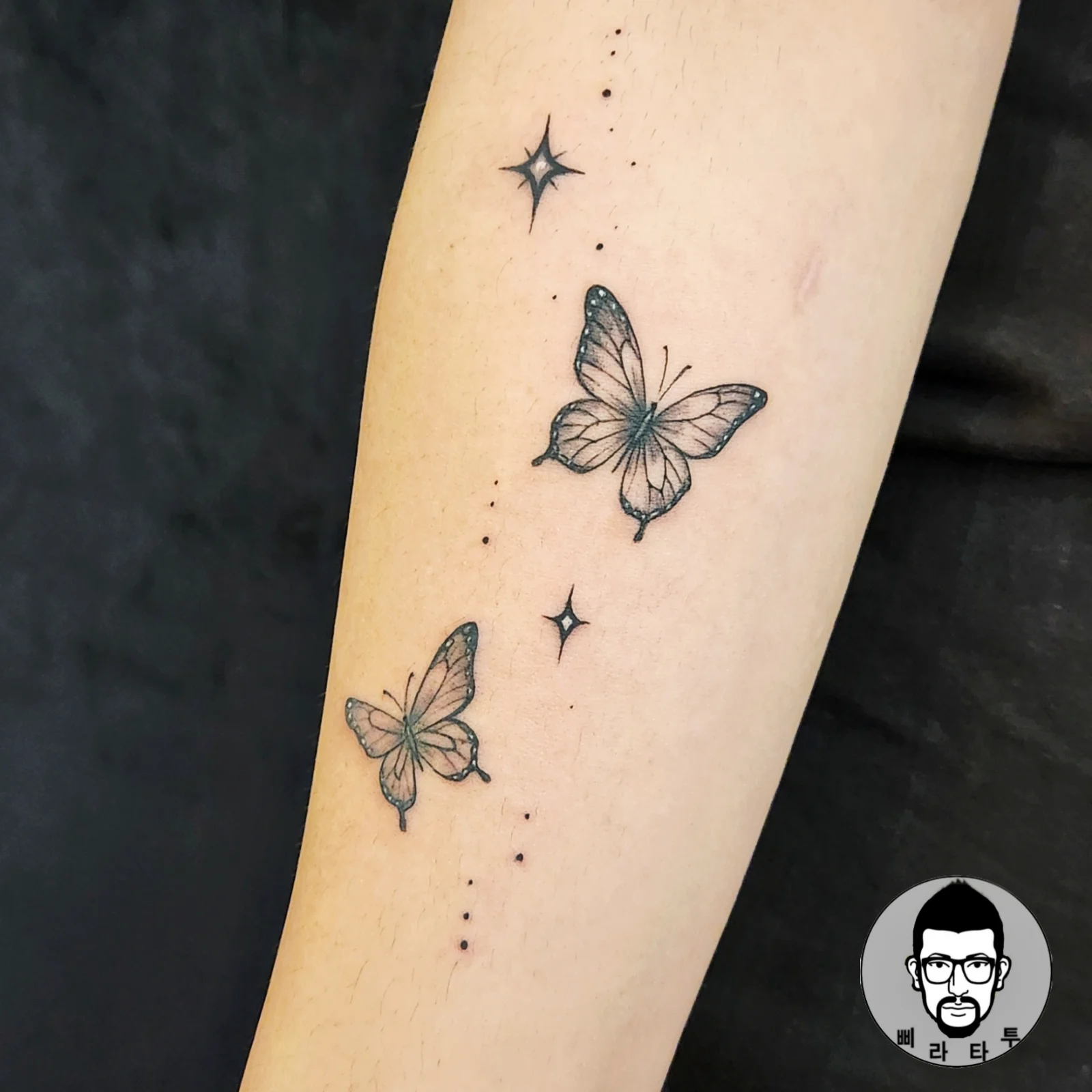 나비 🦋