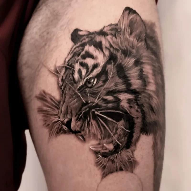 ํธ๋์ดํํฌ