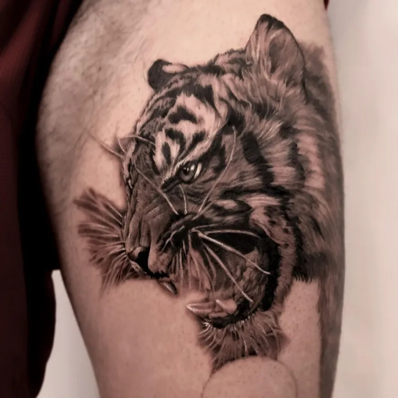 ํธ๋์ดํํฌ