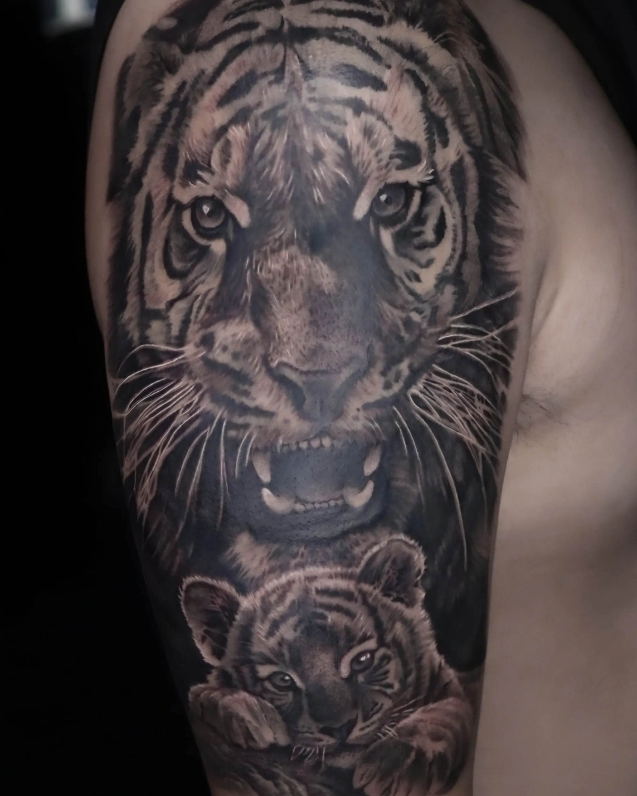 창원타투찬, 호랑이, 가격문의 별도