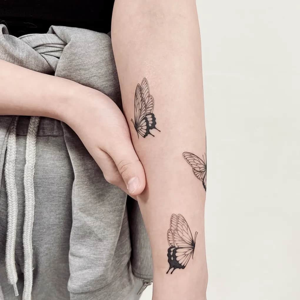 나비 세마리 🦋