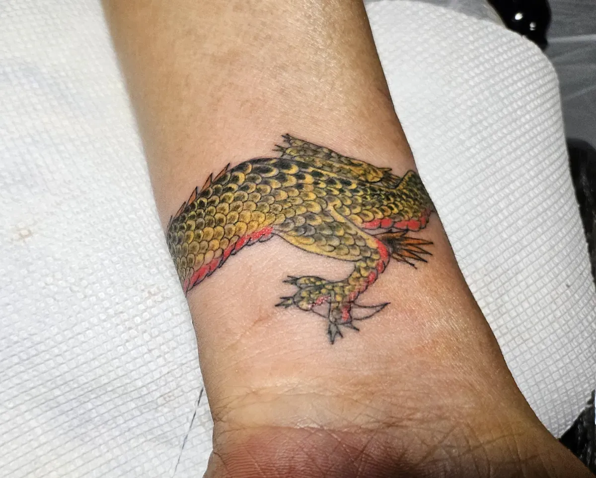 ์ฉ ํ์ฐ ํํฌ ์ฉ ์ด๋ ์ฆ๋ฏธ ์ํฌ์ธํธ ์ฌ๋์ค์ฟจ