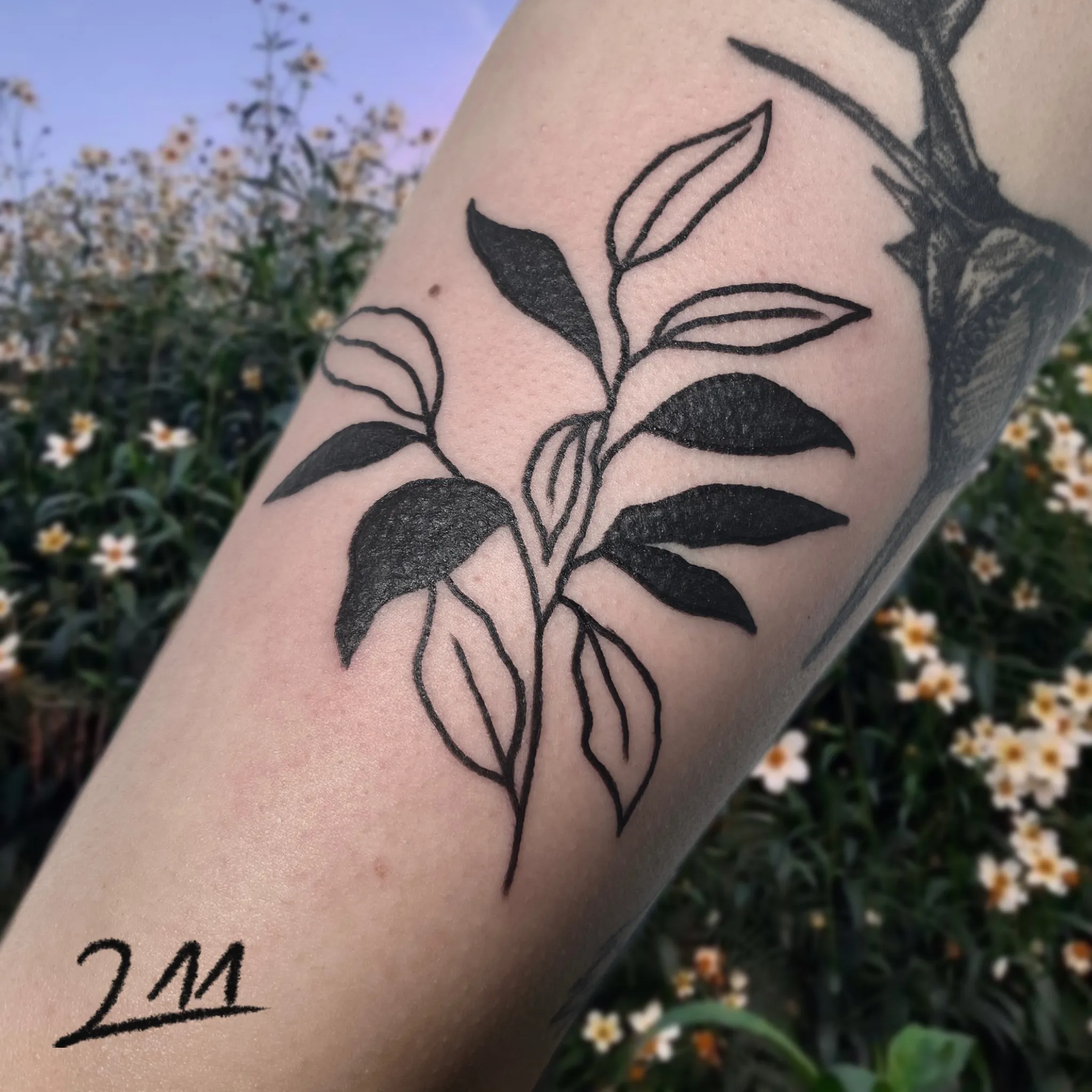 깔끔한 블랙워크 - 1