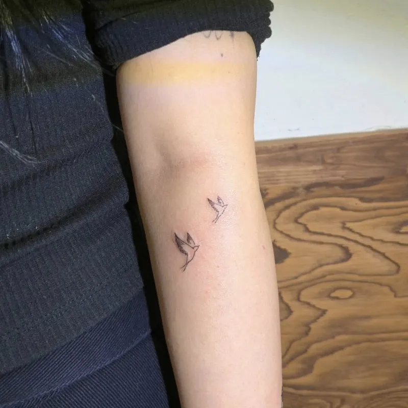 비둘기타투,새타투