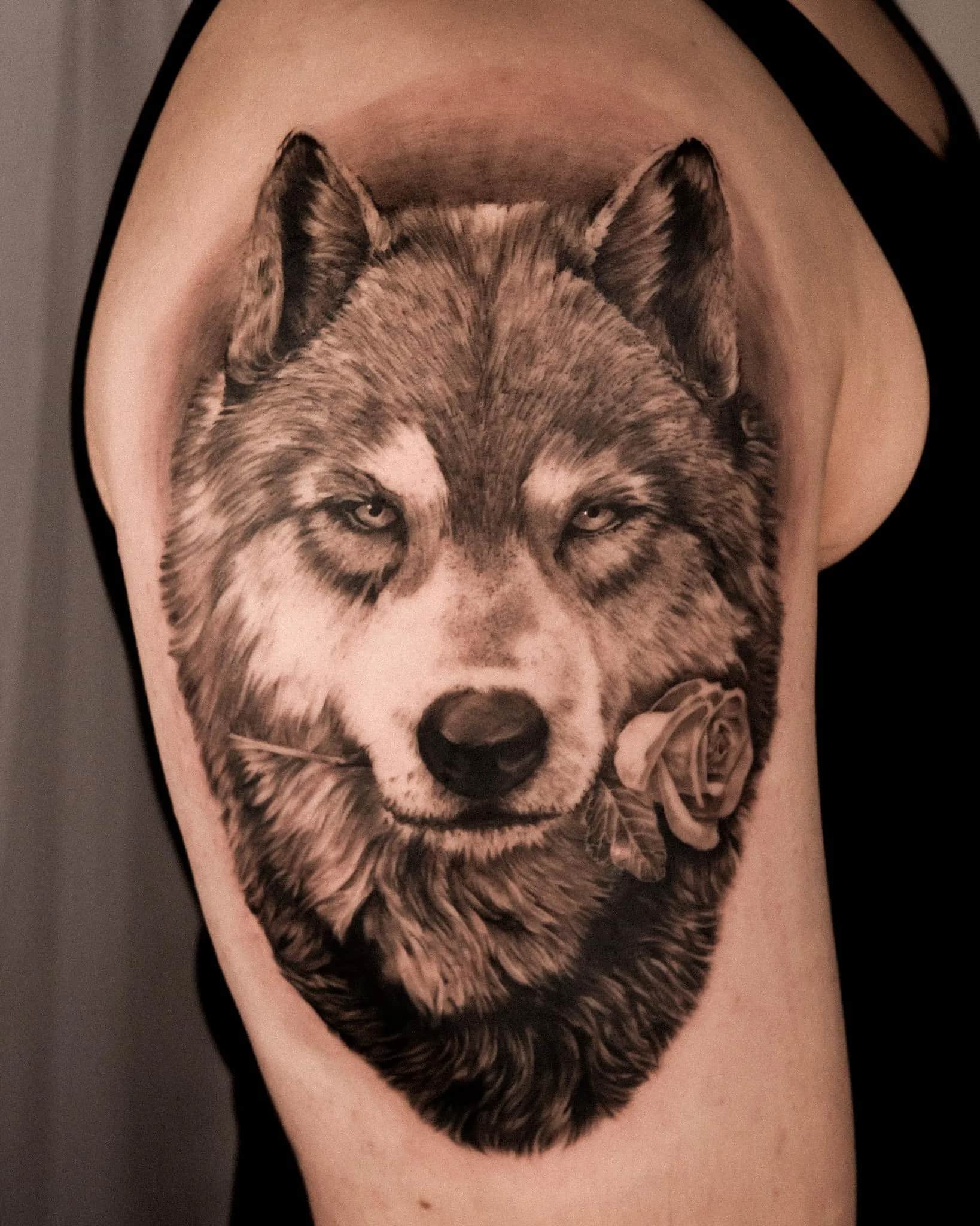 블랙앤 그래이 늑대