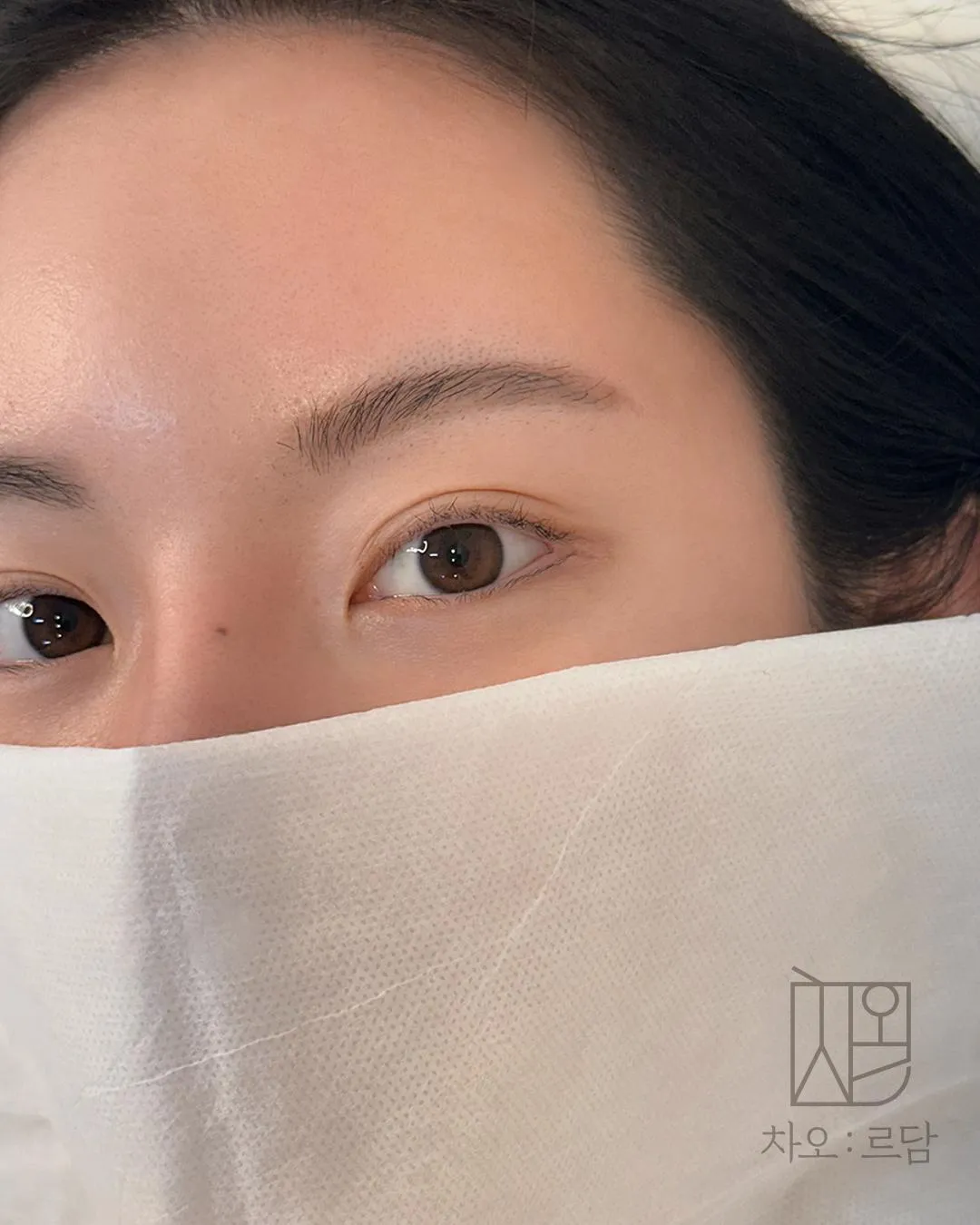 차오르담 여자눈썹 셀프