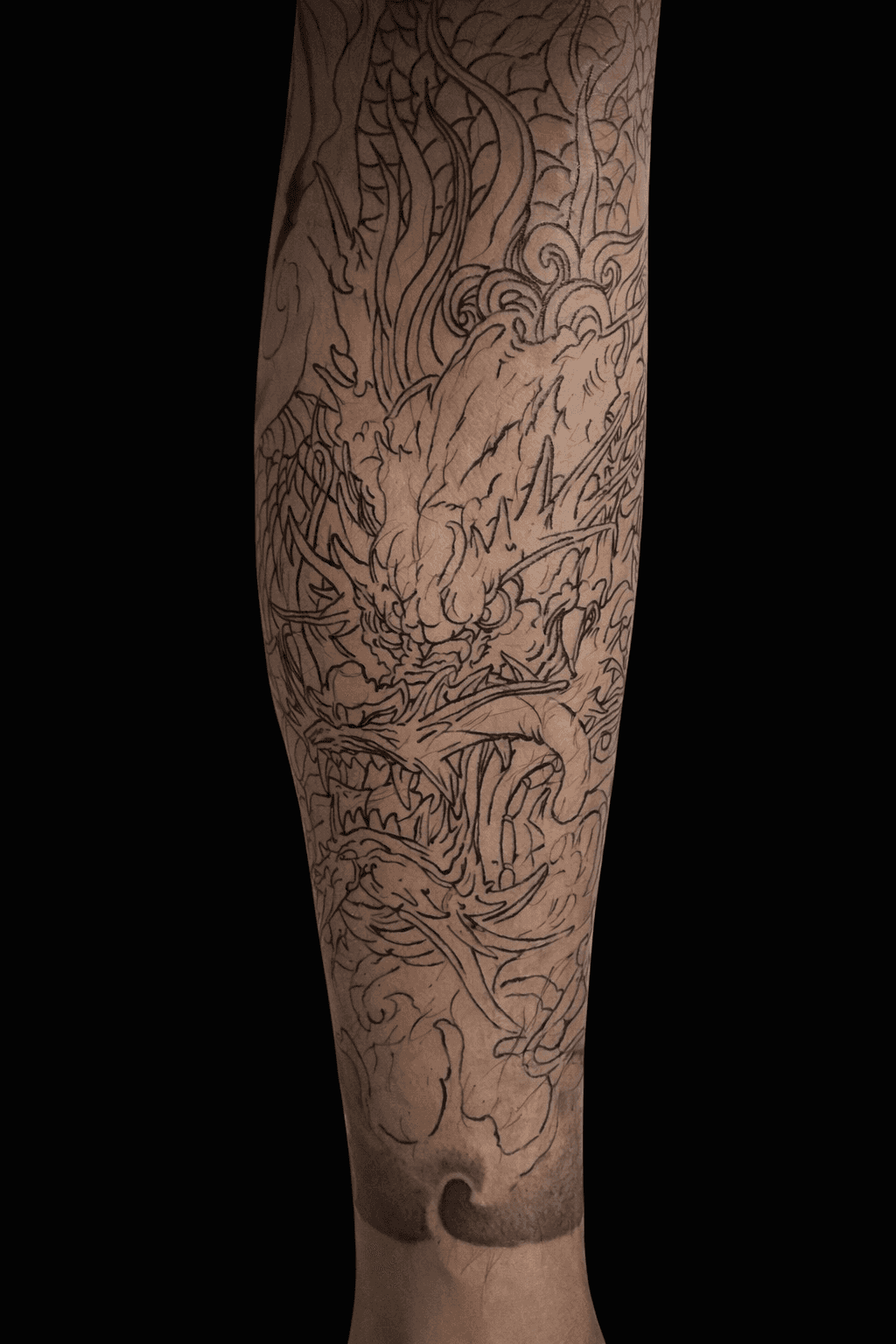 뉴재패니즈 이레즈미 용 라인(다리)