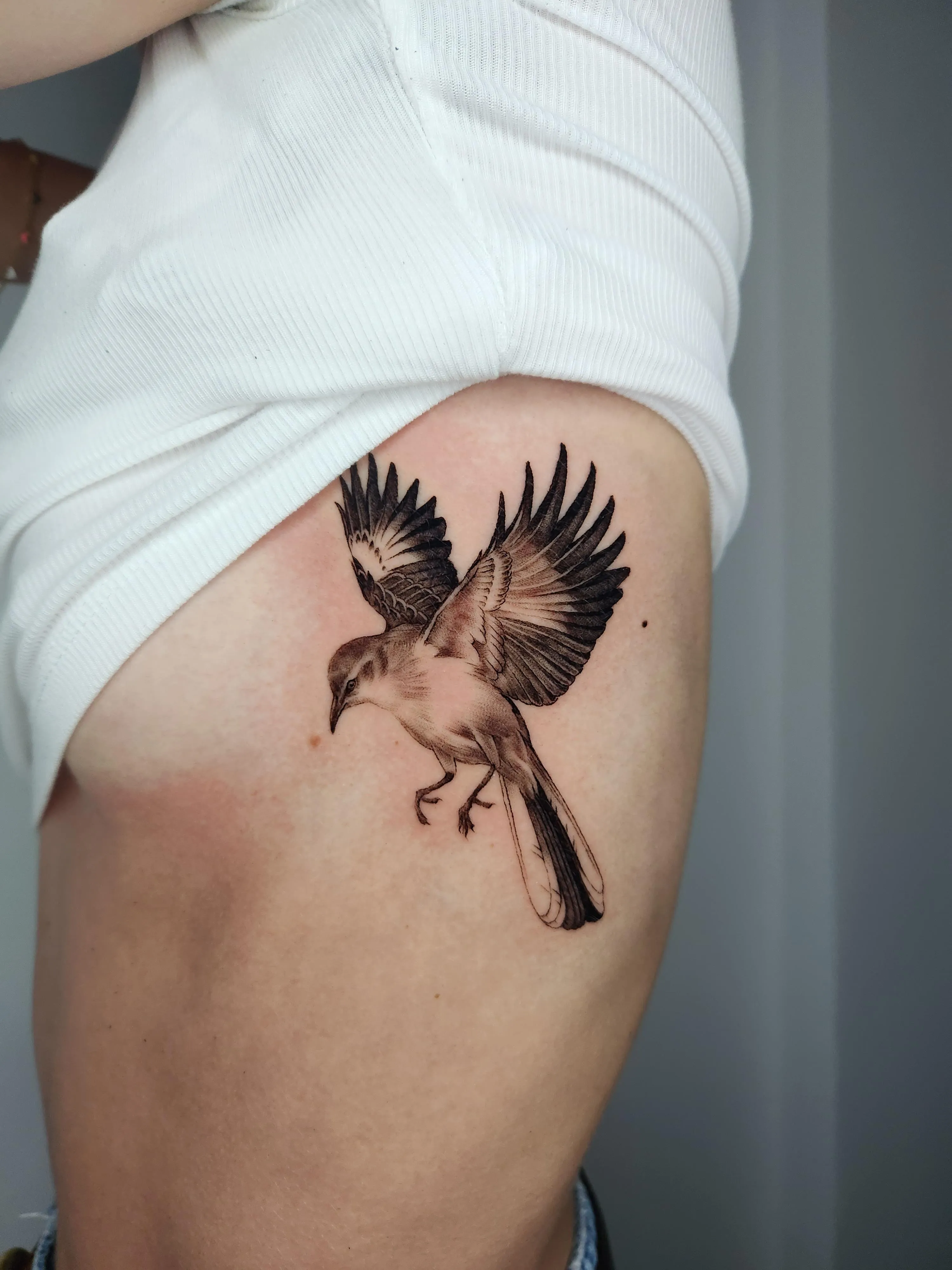 ๋ฏธ๋ ๋ธ๋์ค๊ทธ๋ ์ด