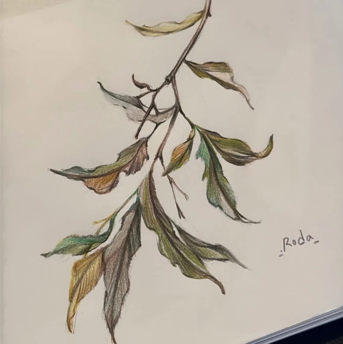 ๋๋ญ์ํํฌ - 1