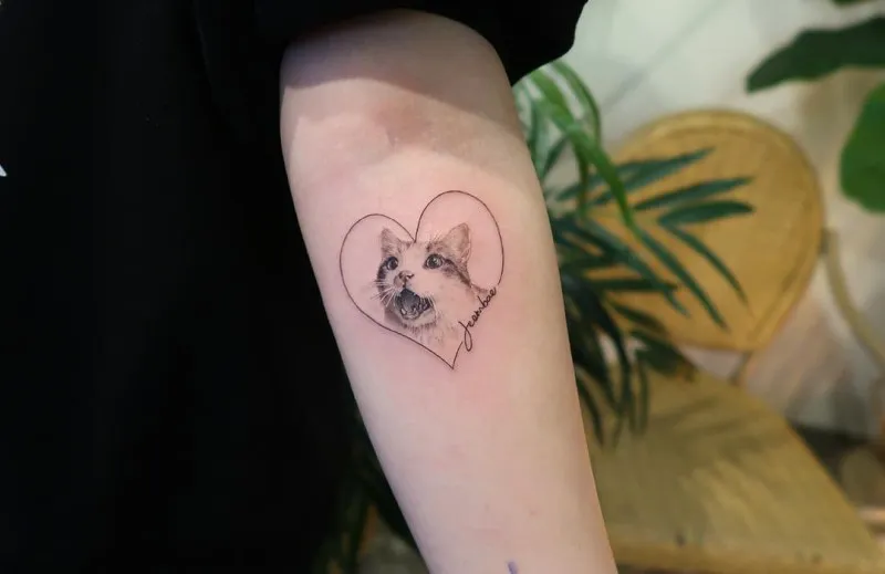 표효하는 반려묘사진으로 타투작업!