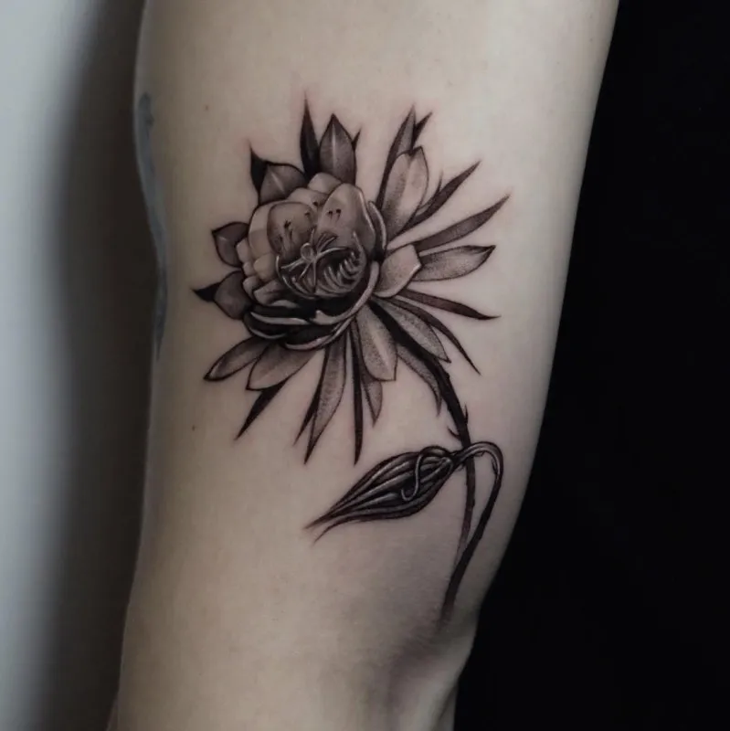 월하미인 꽃타투