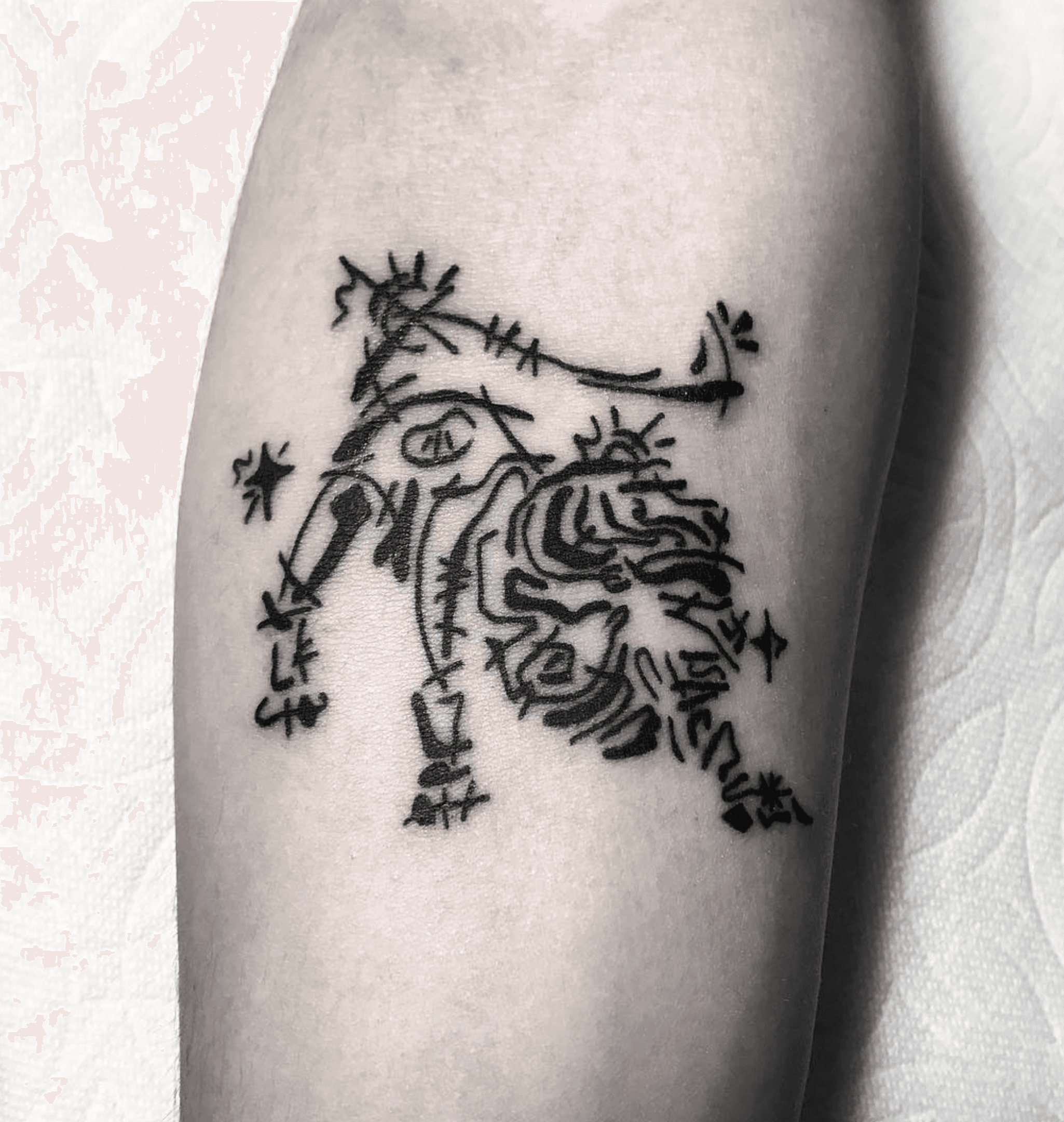 사자자리 별자리