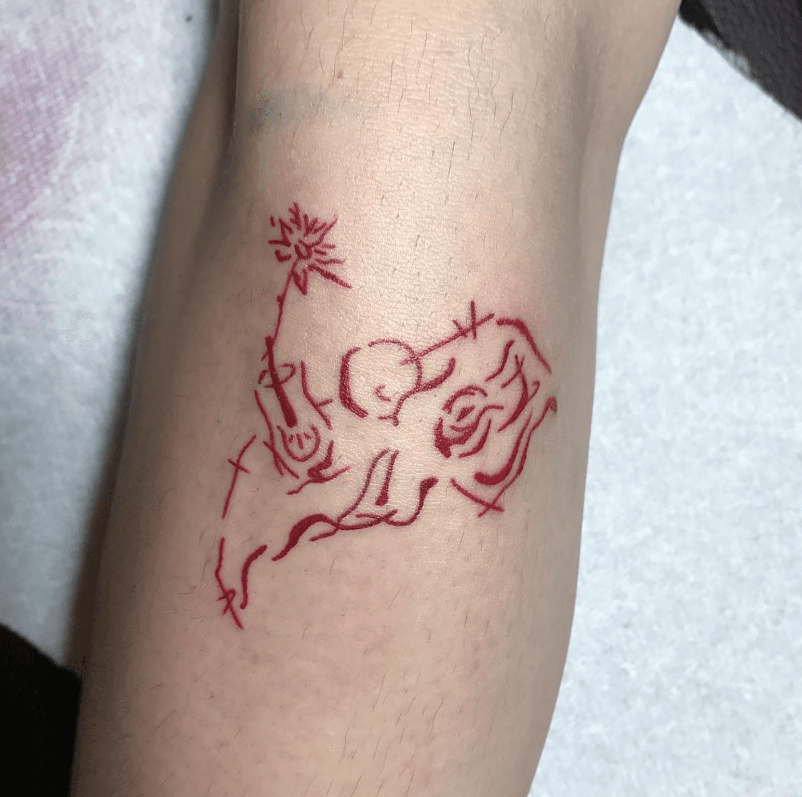 정물화